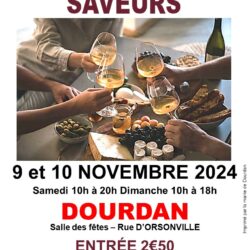 sdv 2024 affiche salon du vin dourdan.jpg