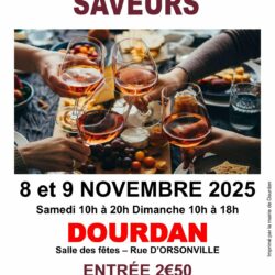 2025 26 affiche salon du vin et de la gastronomie 2025 .jpg