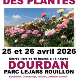 sdp 2026 dourdan.affiche.jpg